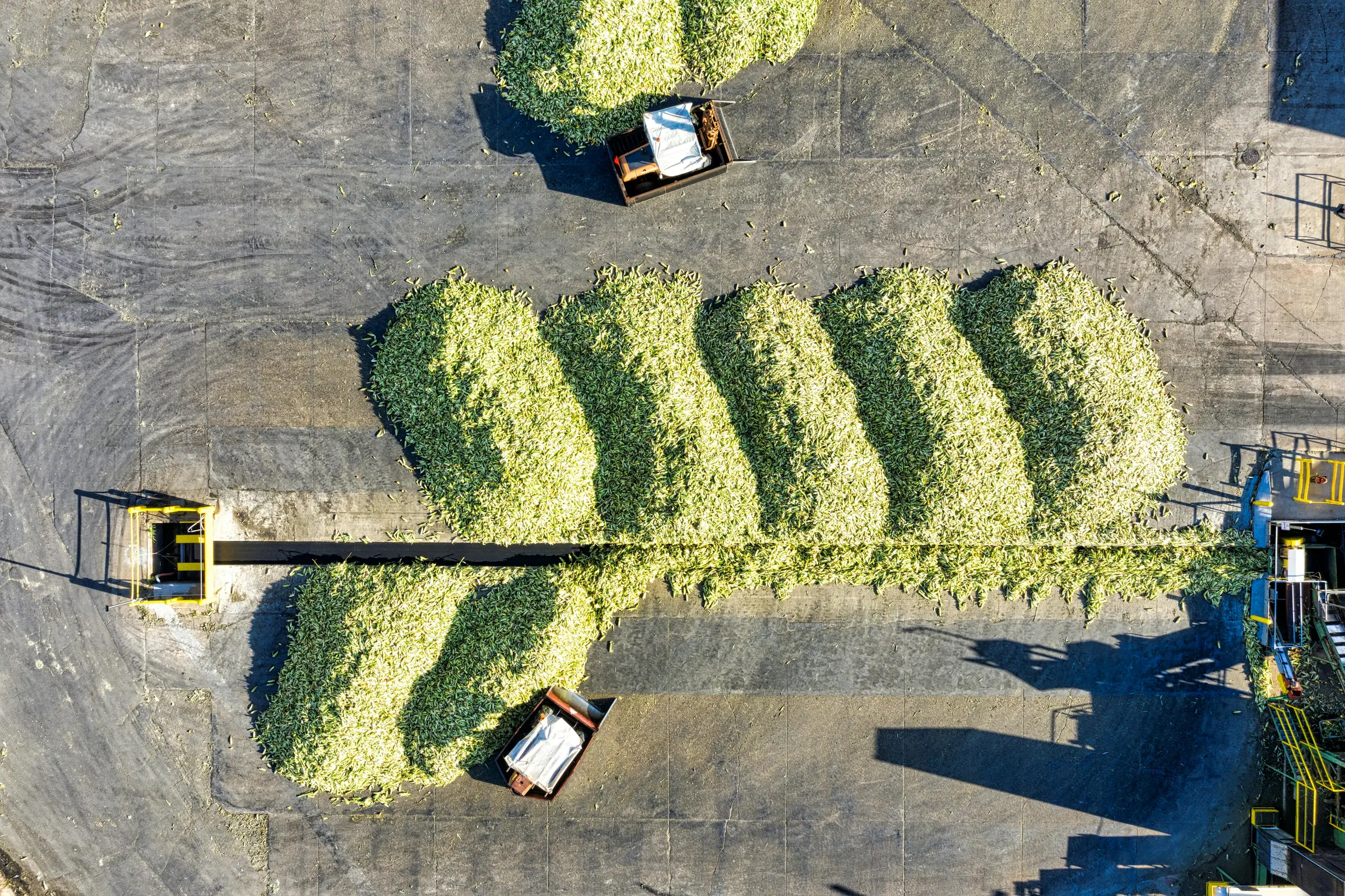 Aerial view showing stacks of bio mass